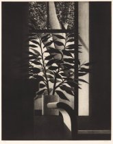 Sam2003.14.01_1.1_final